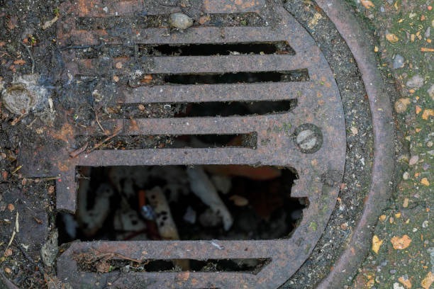 Advanced Solutions for Main Line Drain Blockages