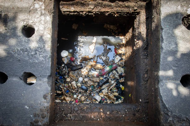 How Professional Drain Cleaning Prevents Summer Backups