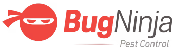 Bug Ninja