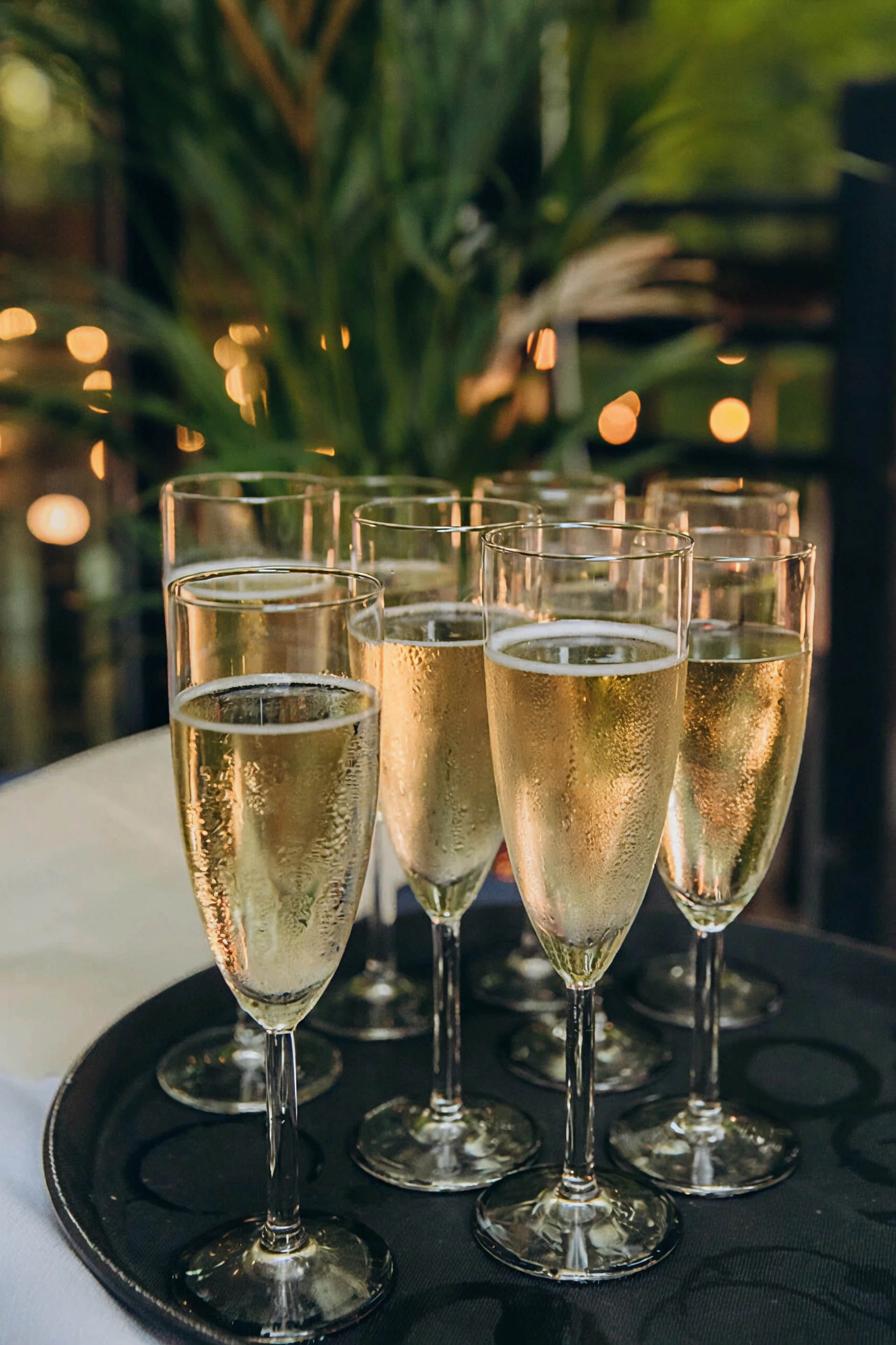 Seven filled champagne flutes on a black serving tray with a blurred background of green plants and warm lights.