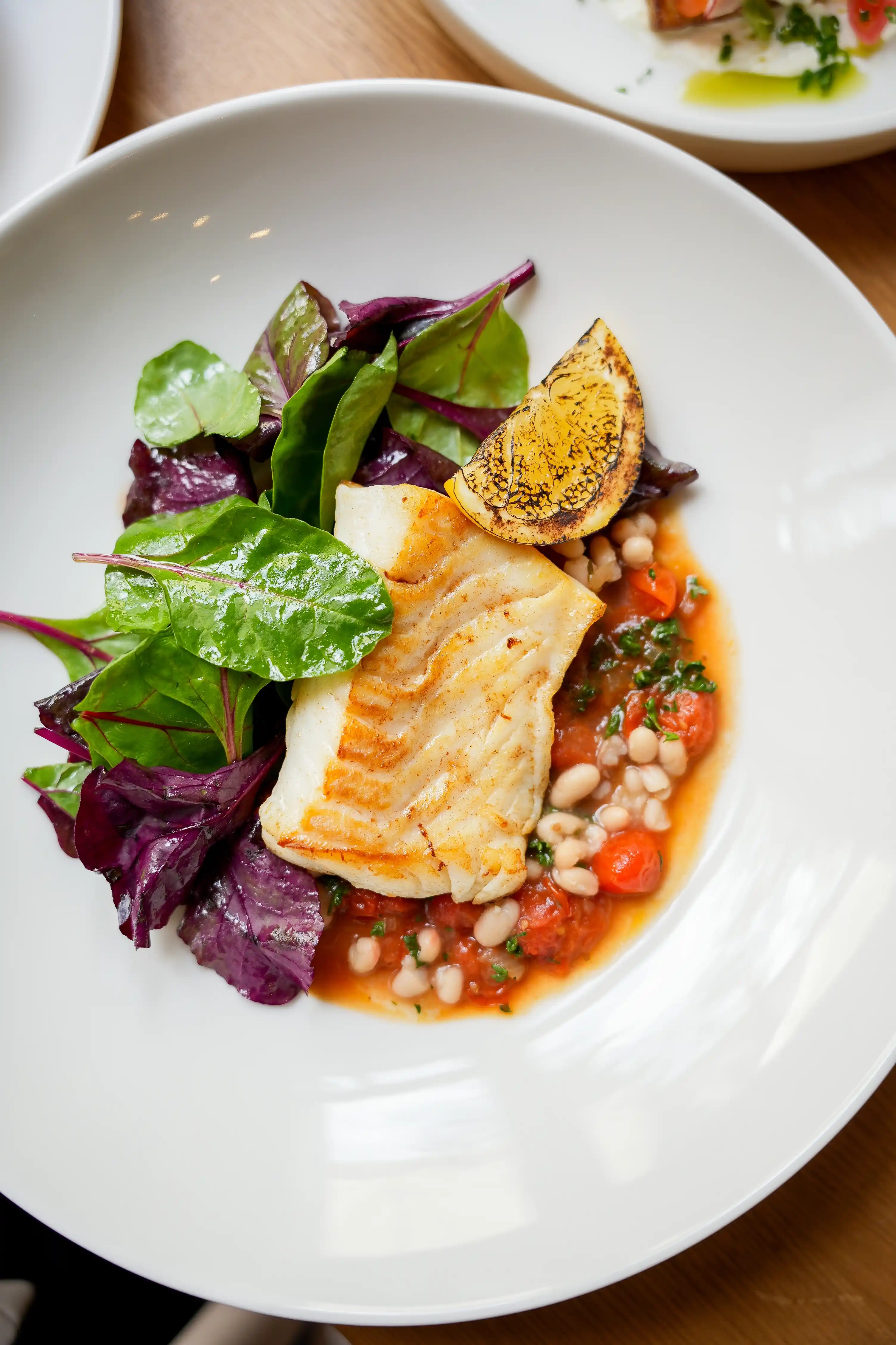 Grilled white fish fillet served with mixed greens, white beans, tomato sauce, and a charred lemon wedge on a white plate.