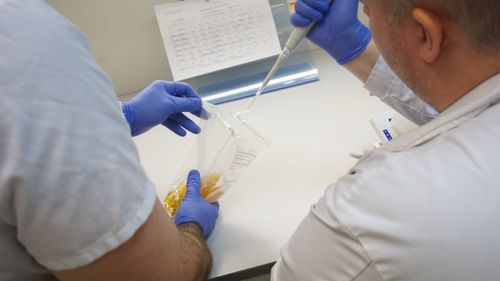 Ansatte i Labora som utfører en prøve