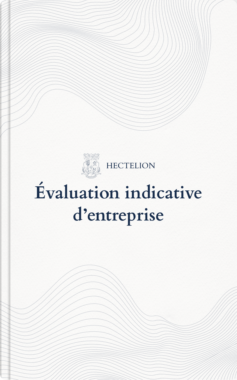 Évaluation indicative d'entreprise — outil Smart Finance Hectelion
