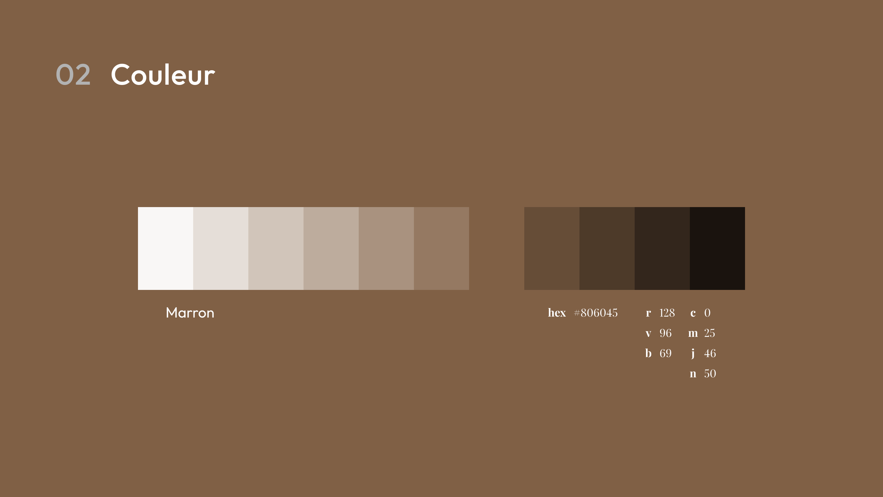 Présentation de la palette de couleurs de la charte graphique. Dominante marron avec une gamme de teintes allant du beige clair au marron foncé. Les valeurs hexadécimales et les codes de couleur RVB et CMJN sont indiqués.