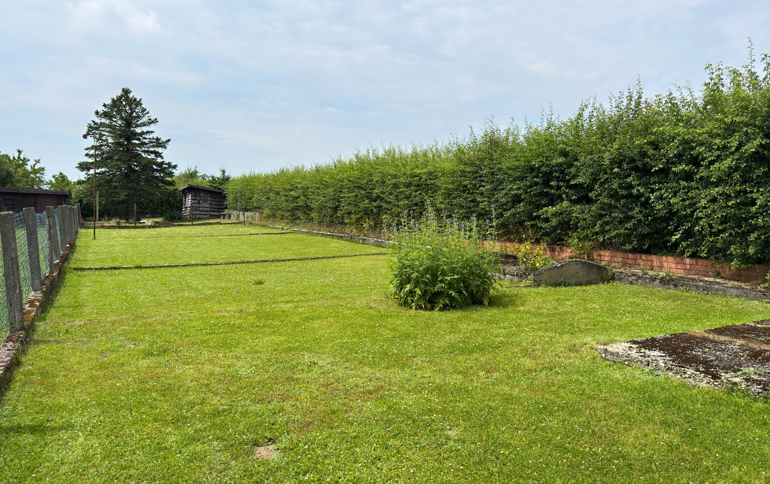 Garten hinten
