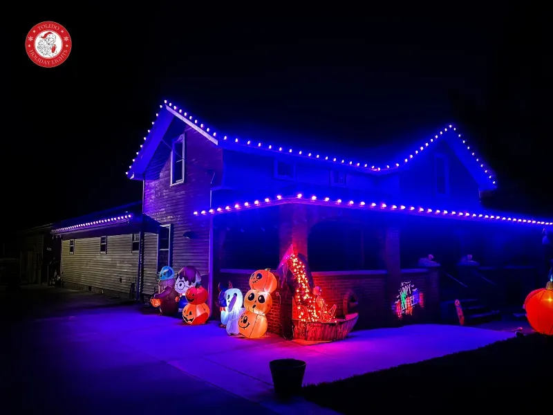 christmas light display maintained all season in blue