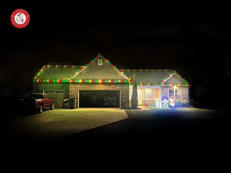 commercial grade LED Christmas lights in red and green