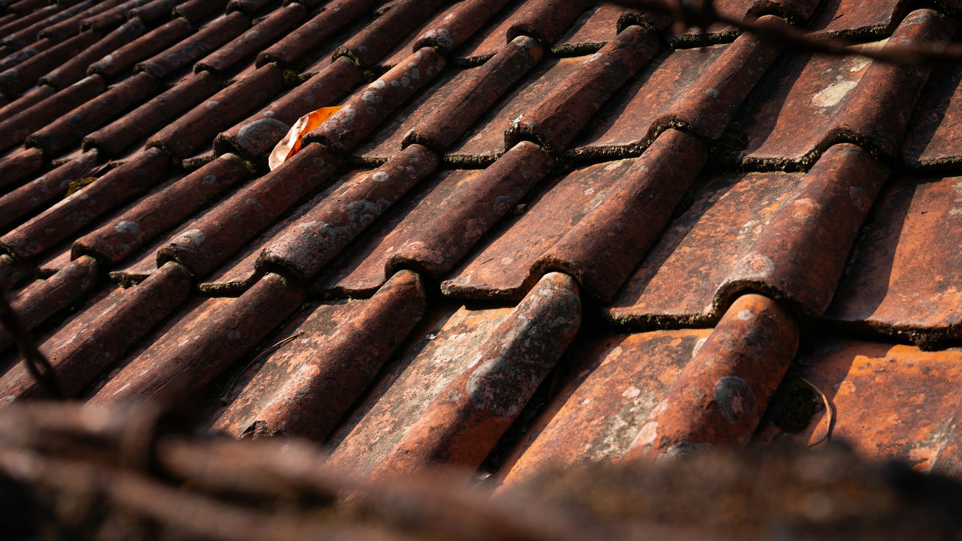 When you’re choosing a roof in Texas, you’ve got to think about more than just curb appeal