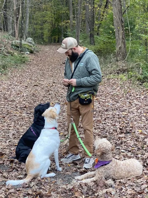 Dog Trainer from Pups and Recreation working with three dogs on Patriot's Path in Randolph NJ.