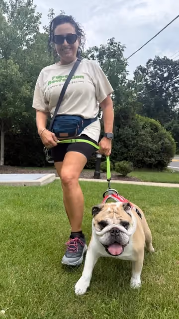 Pups and Recreation Dog Walker walking a dog at Avalon in Wharton NJ.
