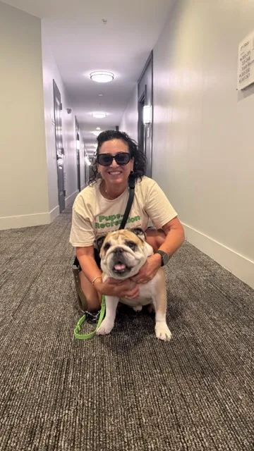Pups and Recreation Pet Care Provider pet sitting a bulldog at Modera 44 in Morristown NJ