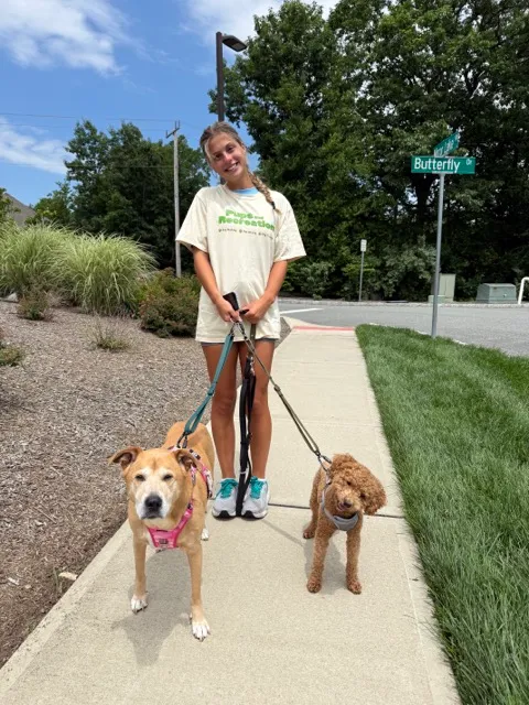 Pups and Recreation dog walker in Madison NJ.