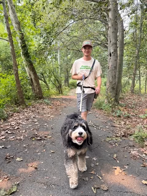 Pups and Recreation Dog Walker on Patriots Path in Mendham NJ