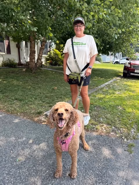 Pups and Recreation Dog Walker walking a dog near downtown Morristown NJ>