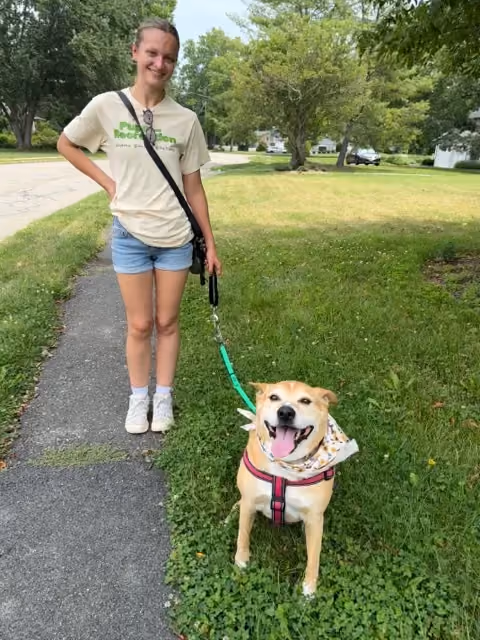 Dog Walker from Pups and Recreation walking a dog in Morristown NJ.