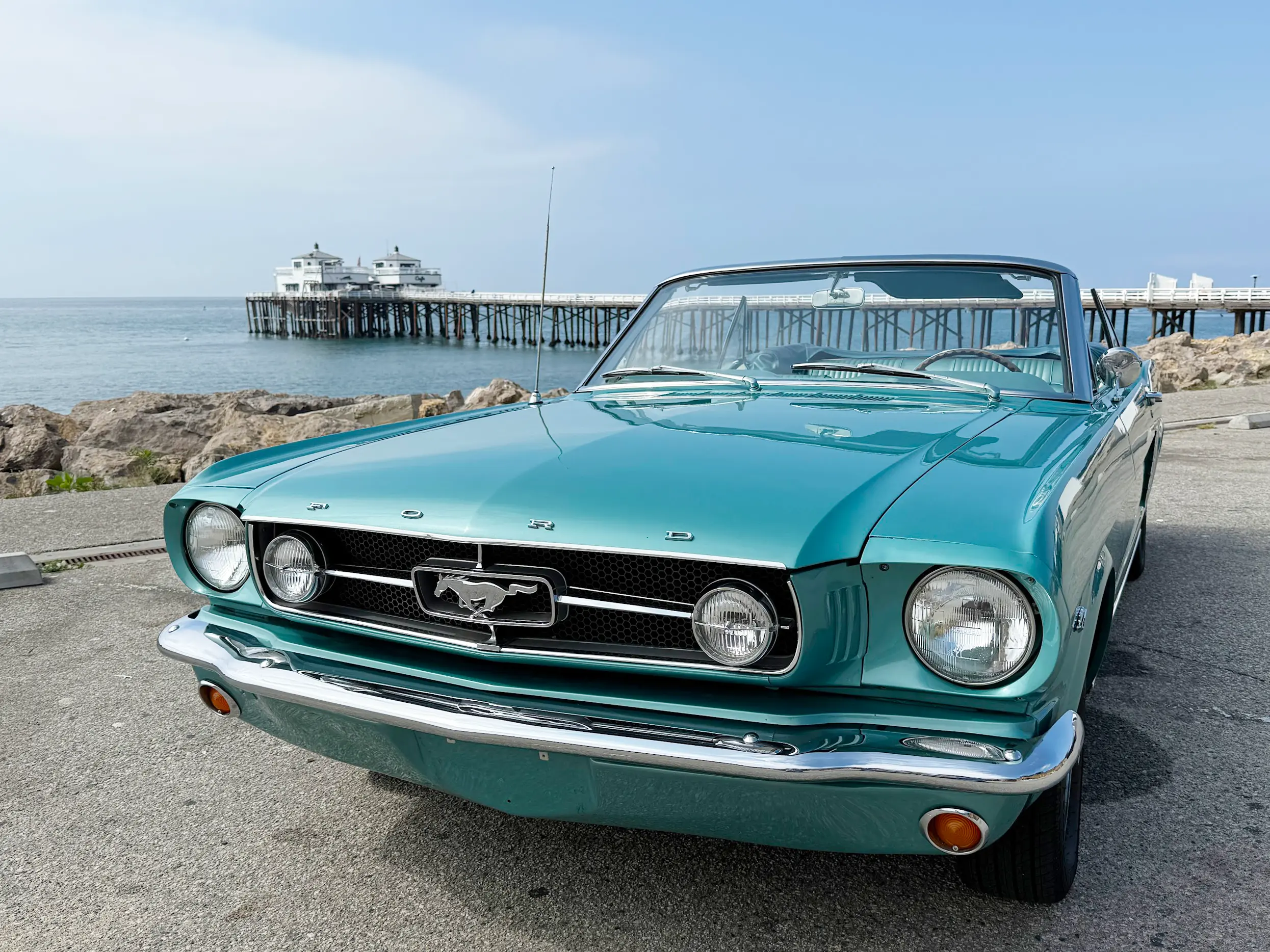 Car Rentals