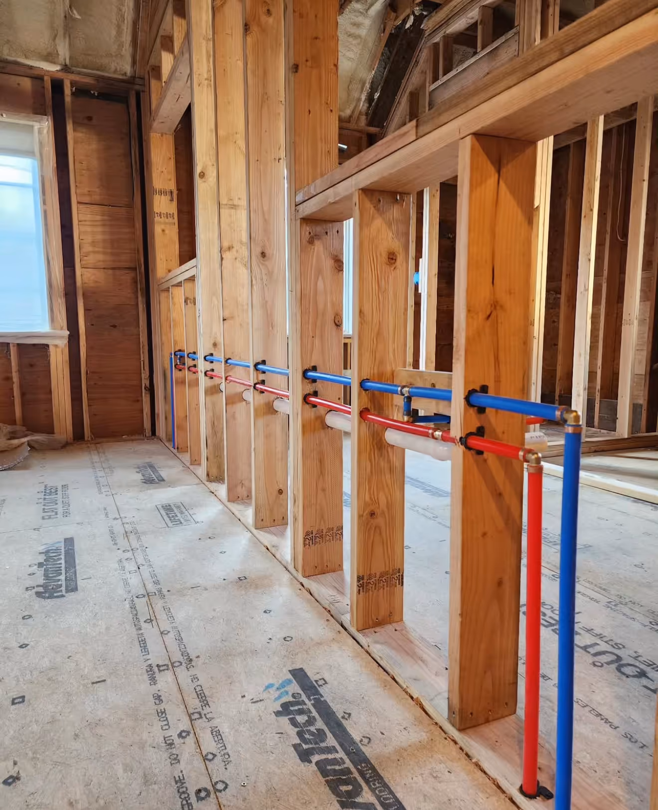 Organized plumbing manifold with blue and red PEX lines neatly distributed between wooden studs during home construction. 