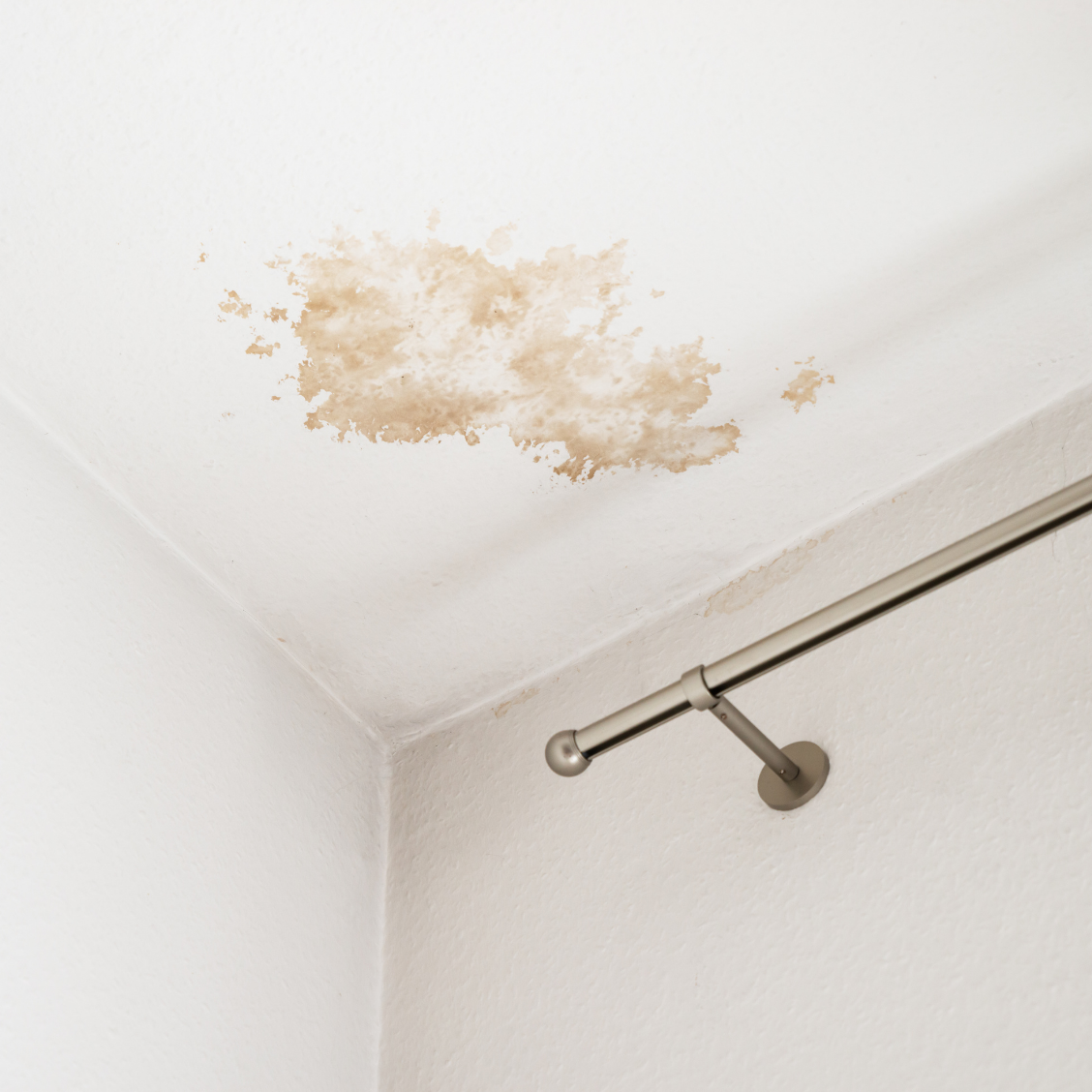 How to Spot a Water Line Leak Before It Gets Expensive 