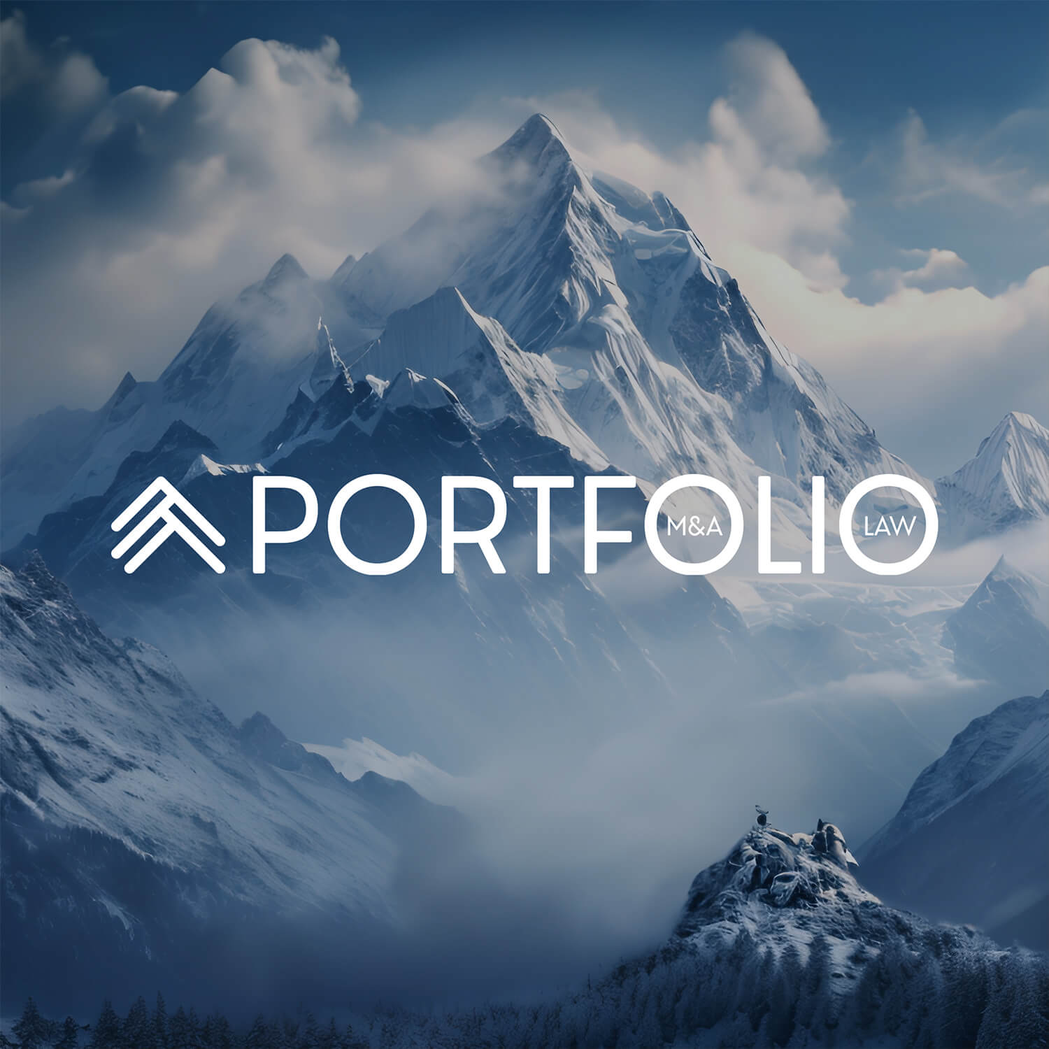 Portfolio M&A Predetermined Image