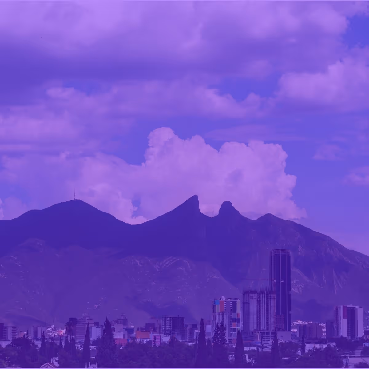 agencia de seo en monterrey