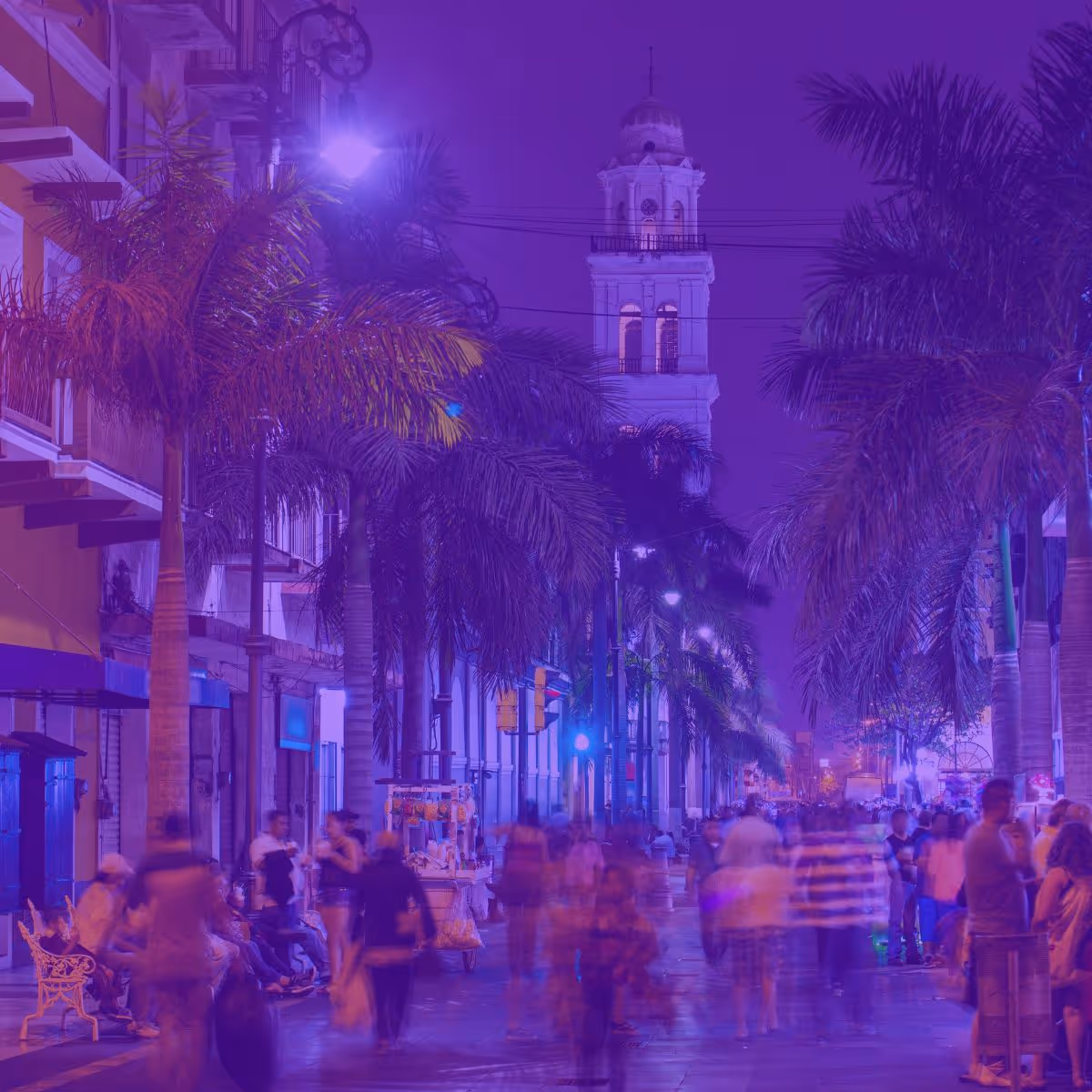 agencia de seo en veracruz