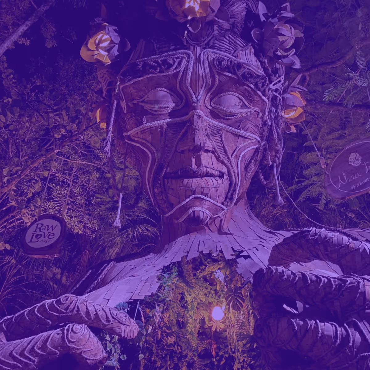 agencia de seo en tulum