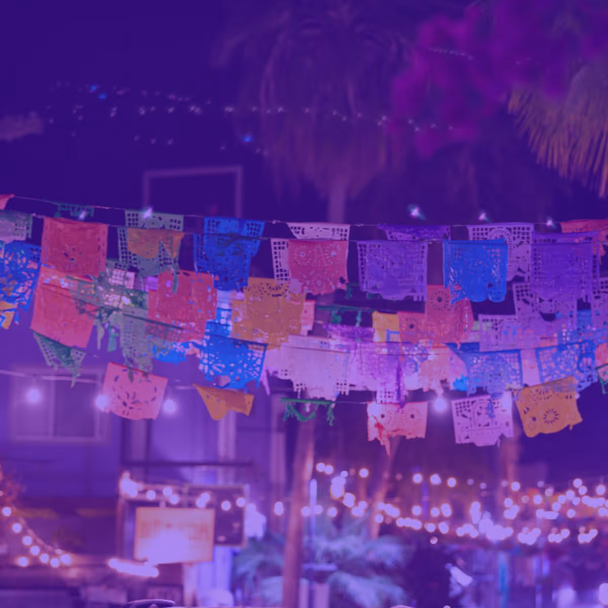 agencia de seo en baja california