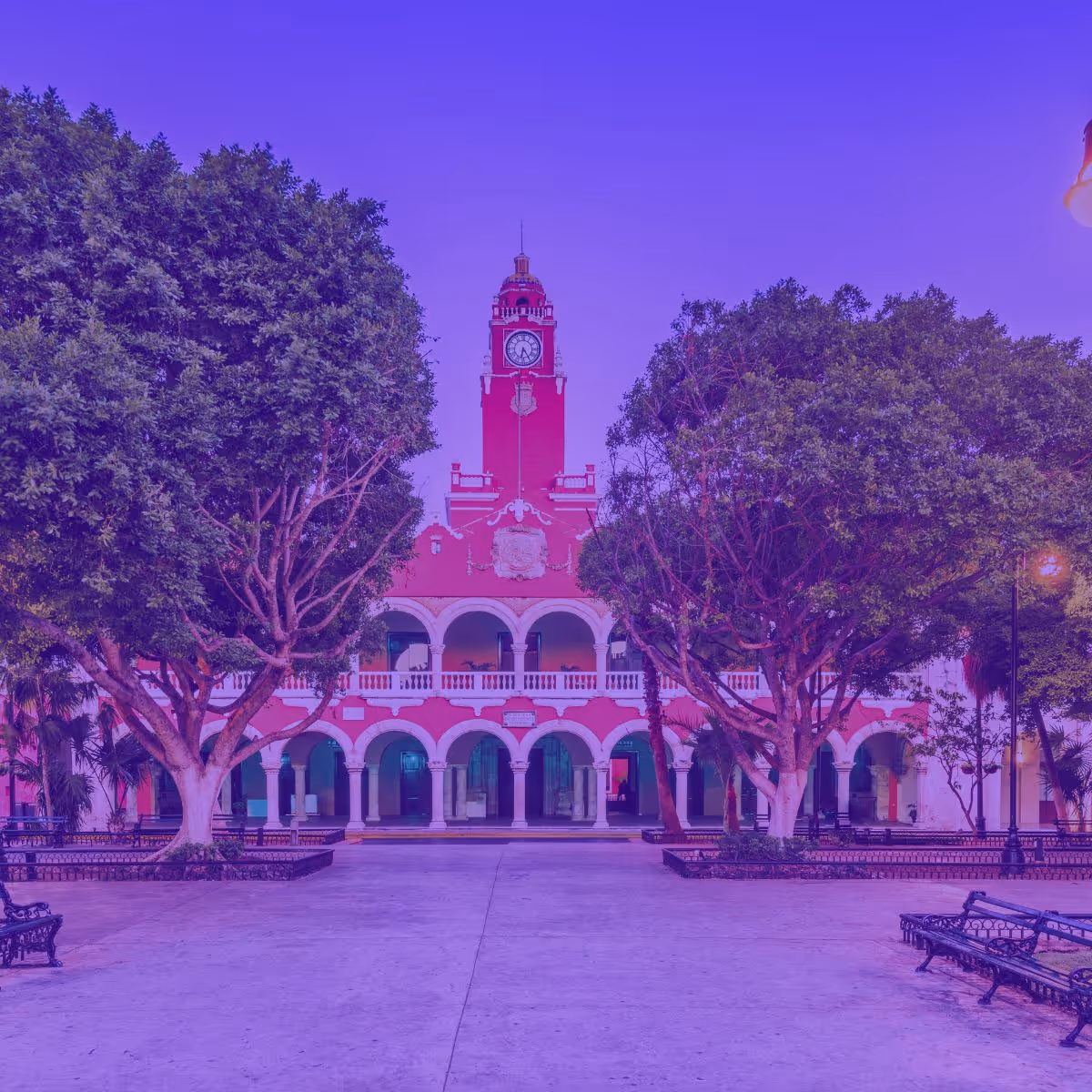 agencia de seo en merida