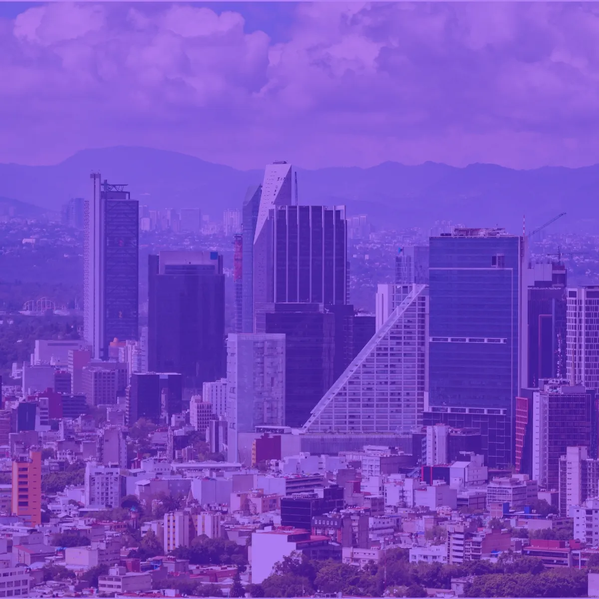 agencia de seo en mexico