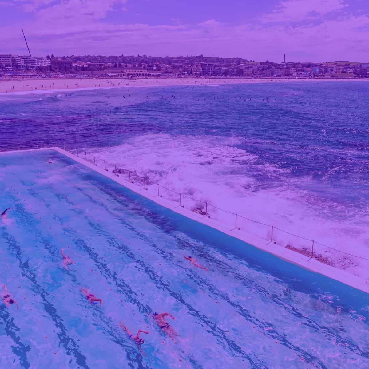 SEO Agency in Sydney