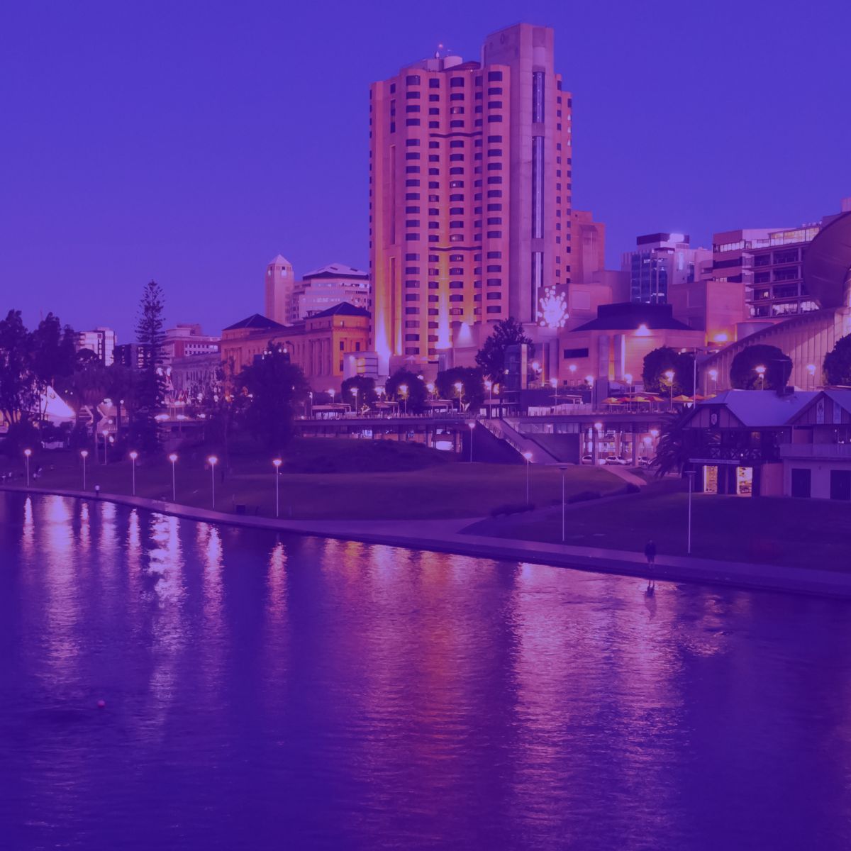 SEO Agency in Adelaide