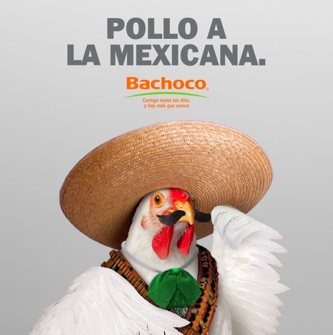 Auncios Publicitarios