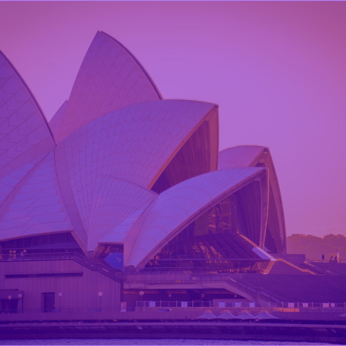 best seo agencies in australia