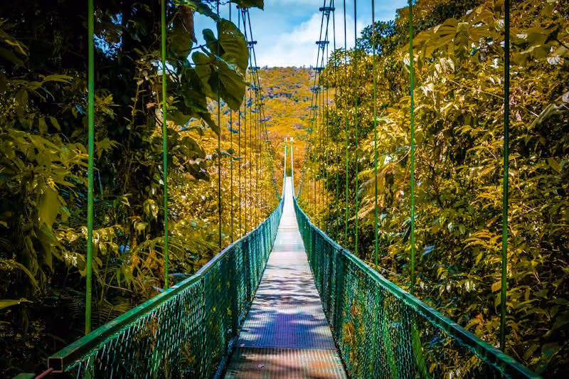 Puente colgante en el Bosque Nuboso de Monteverde, Costa Rica