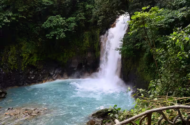 Catarata de Río Celeste cayendo sobre una poza turquesa entre bosque, Parque Nacional Volcán Tenorio