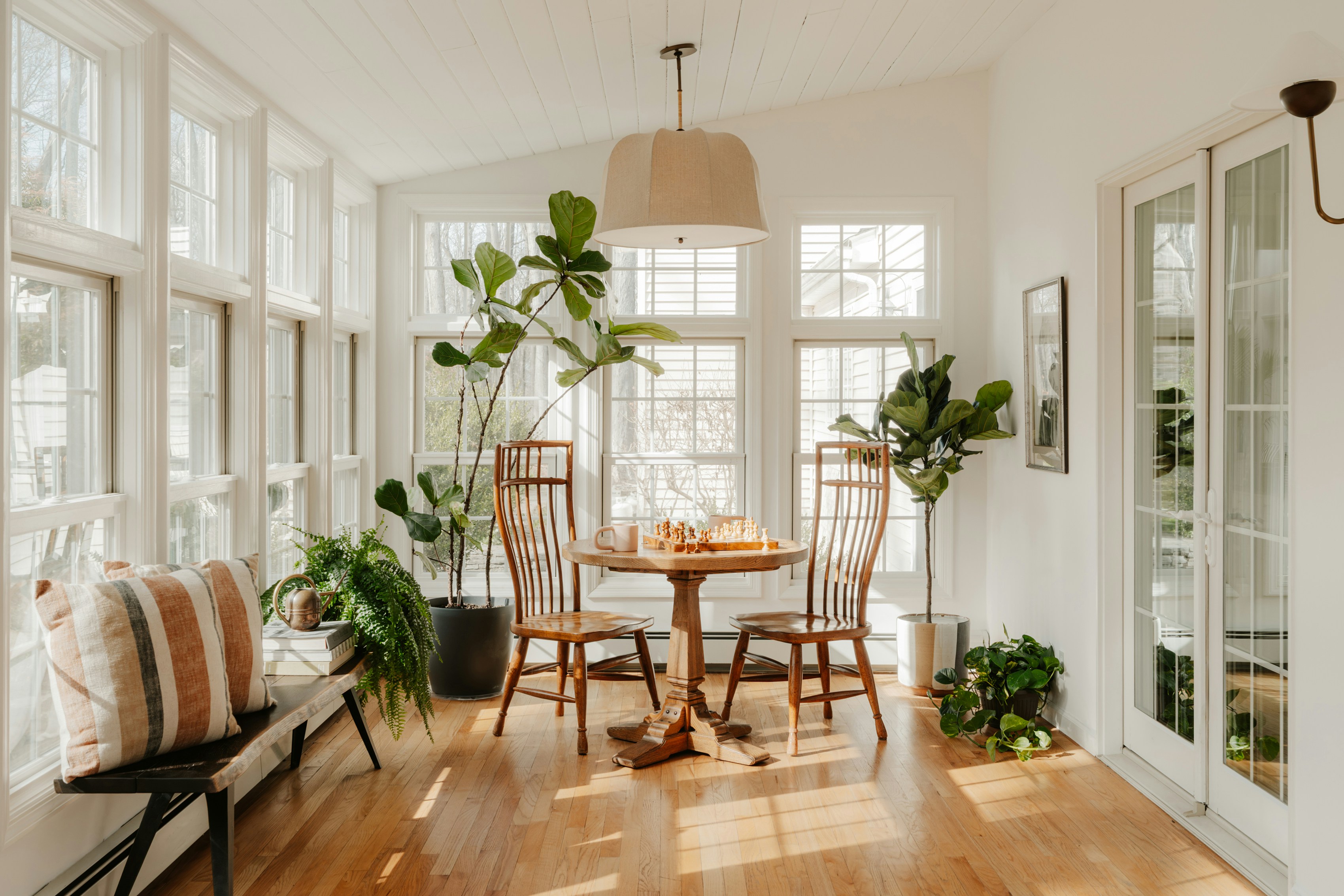 Sunroom with several plants