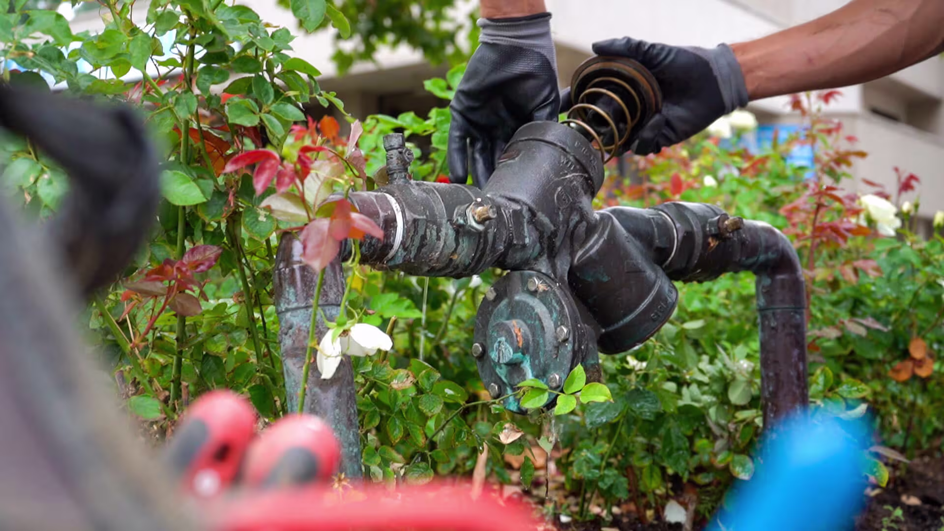 Backflow Device Repair & Replacement