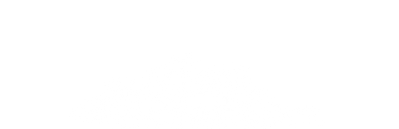 Center Service Cloud