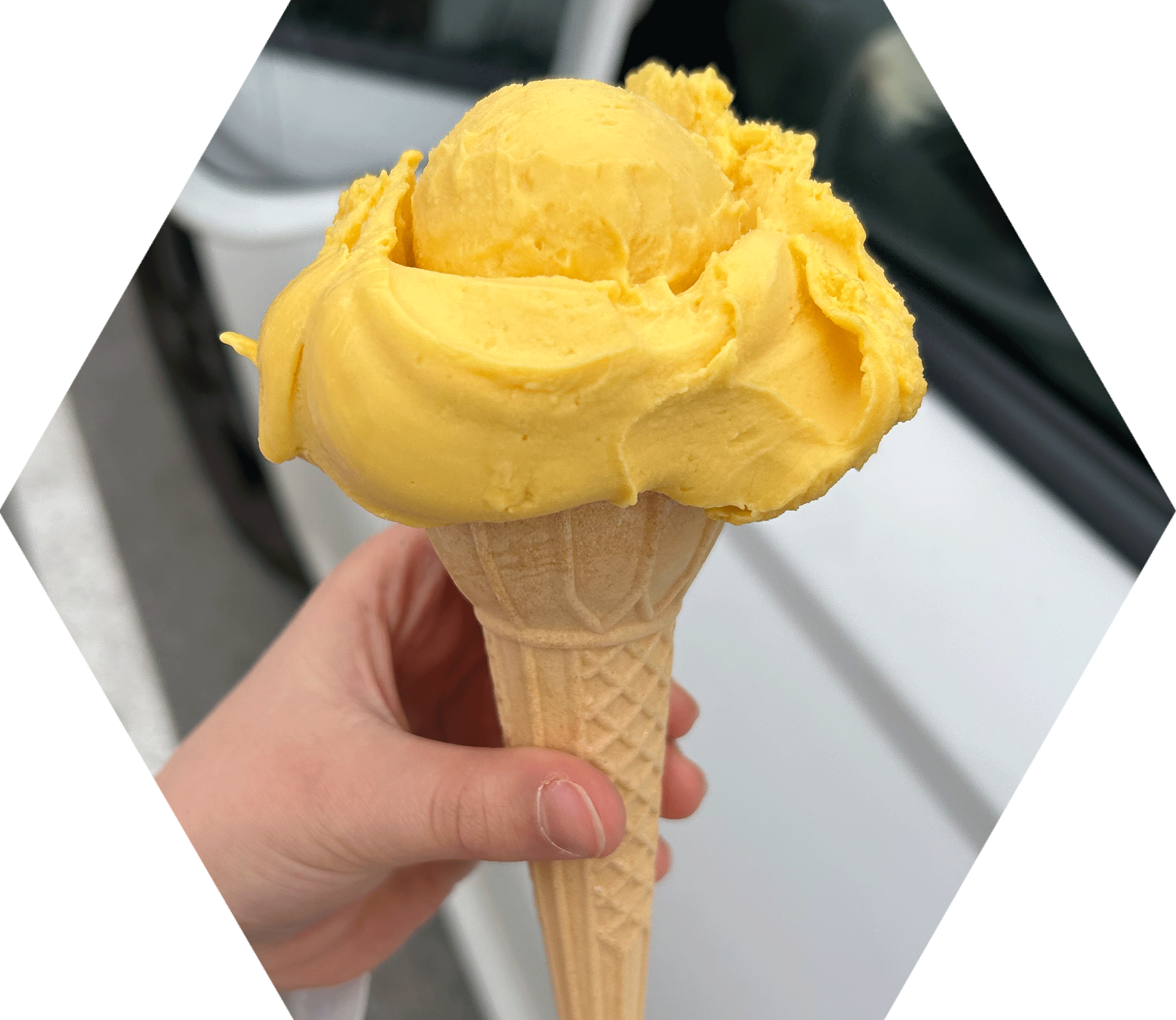 Fuchs Eis