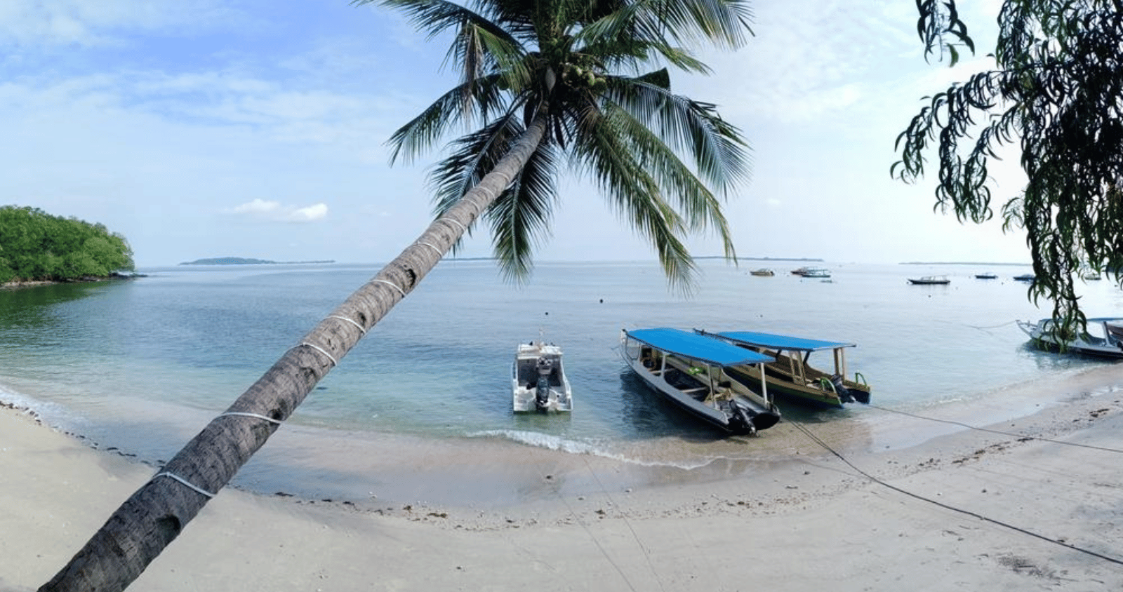 A leaning coconut tree over turquoise waters at Pantai Kecinan, North Lombok, Indonesia.