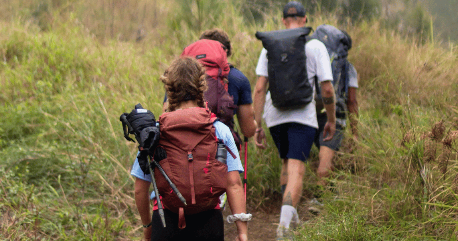 A panoramic view of Mount Rinjani’s crater lake Segara Anak under a clear blue sky, Lombok, Indonesia.