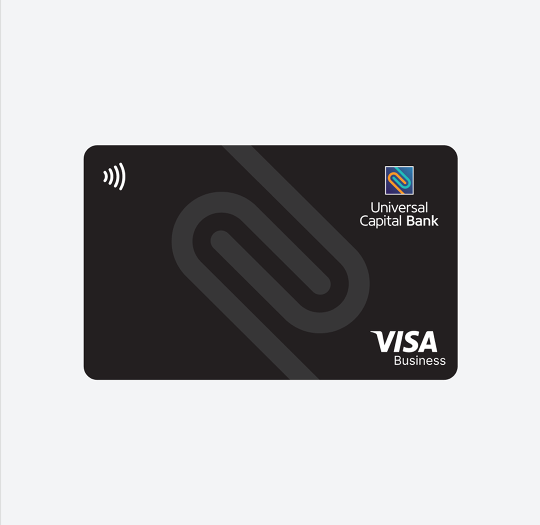 VISA Classic Business Debit kartica