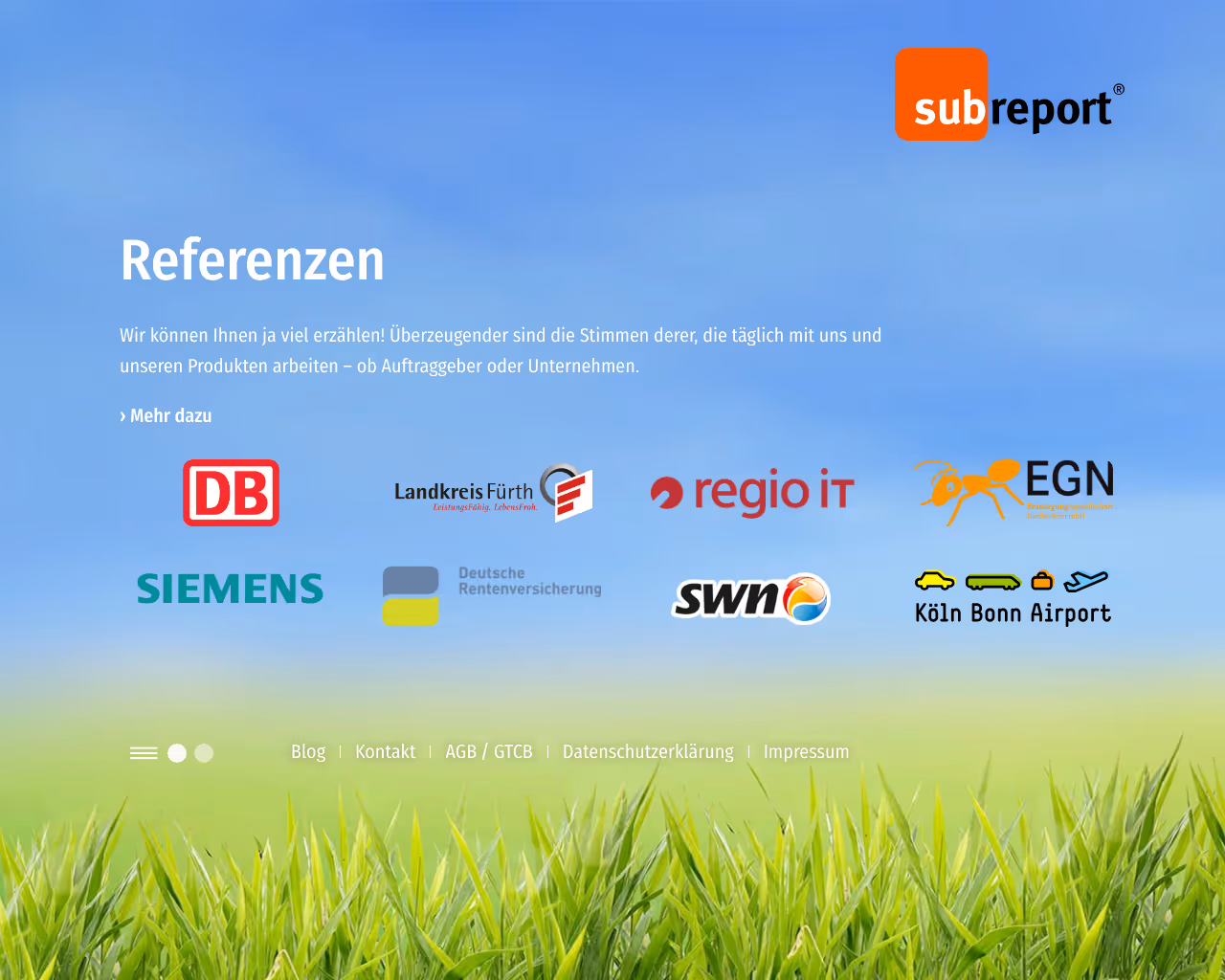 website subreport screenshot