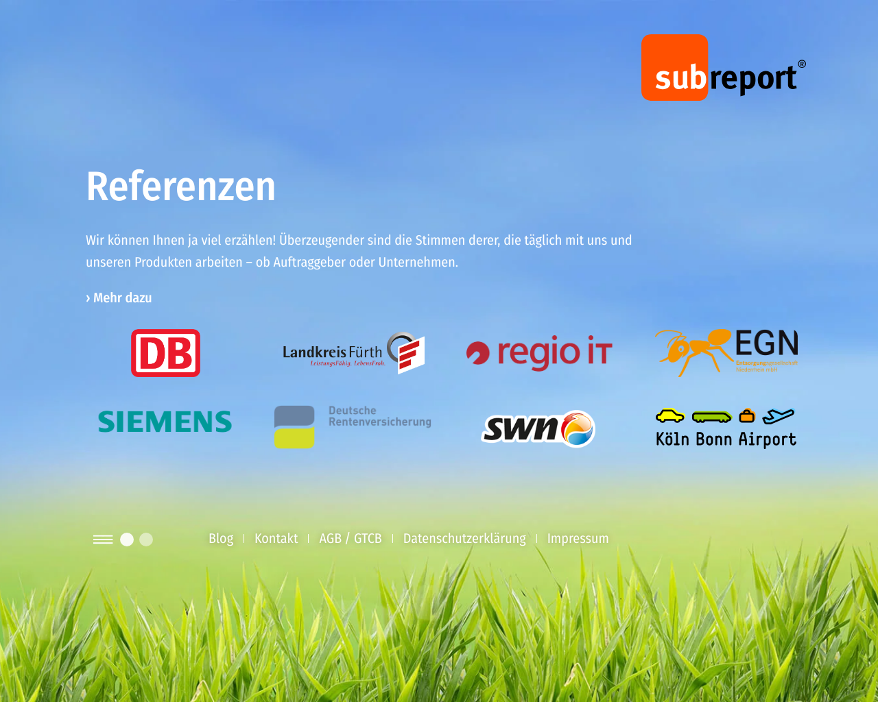 website subreport screenshot