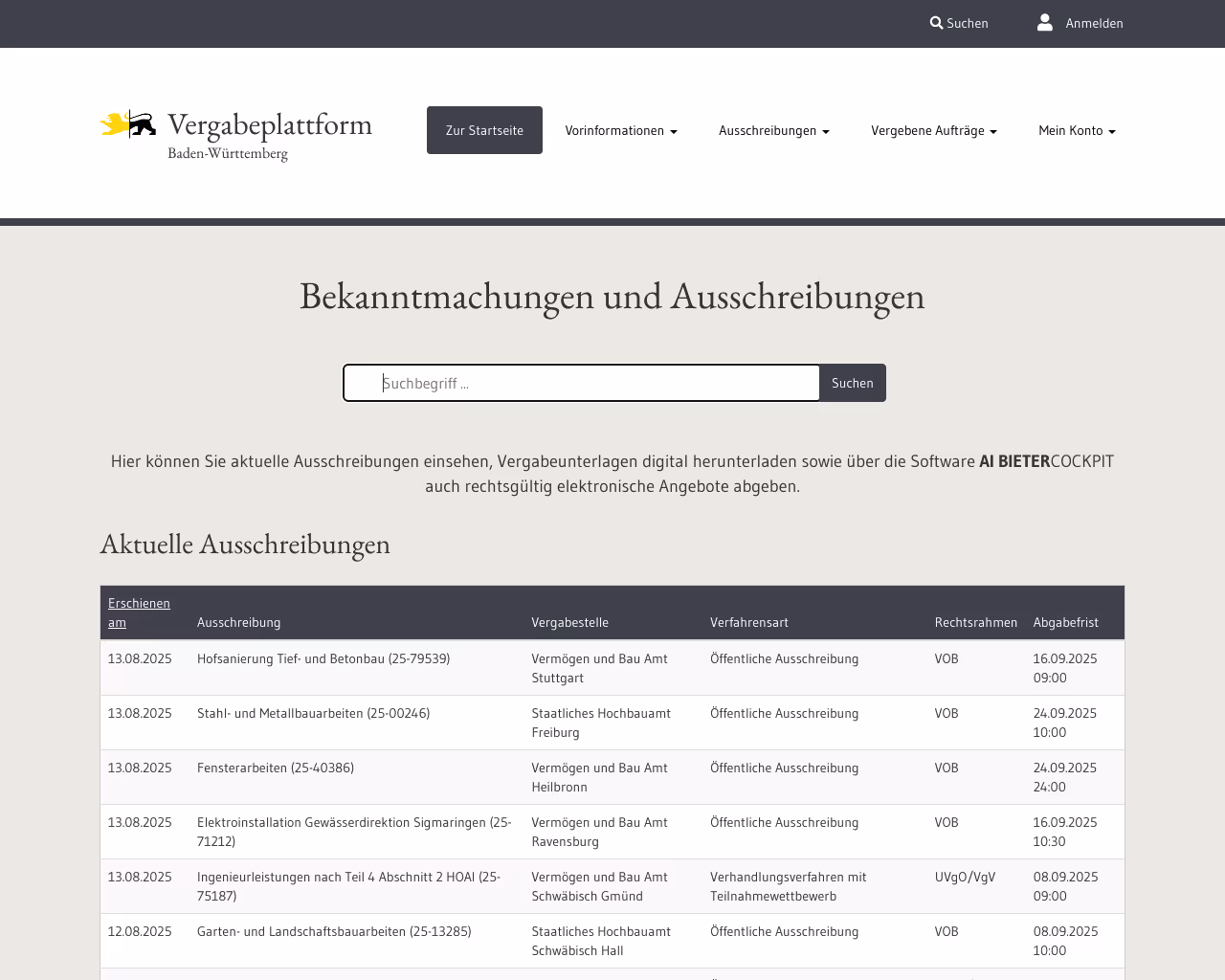 website vergabe screenshot