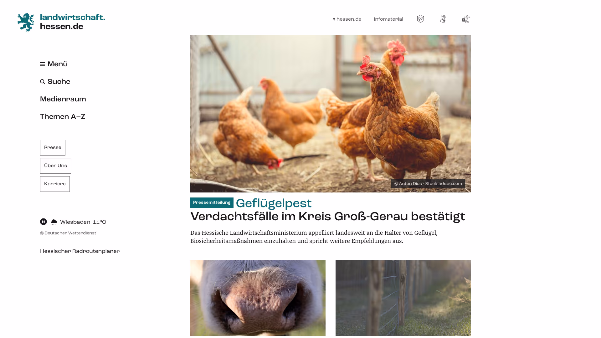 website landwirtschaft screenshot