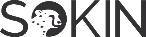 Bridge company logo featuring a stylized suspension bridge design with the word 'BRIDGE'.