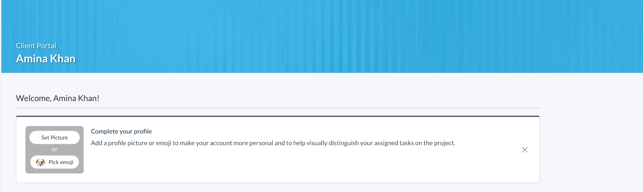 Client avatar customization in client portal