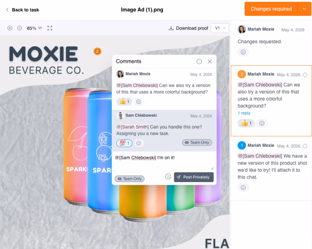 LaunchBay design proofing view with pinned comments and team-only replies