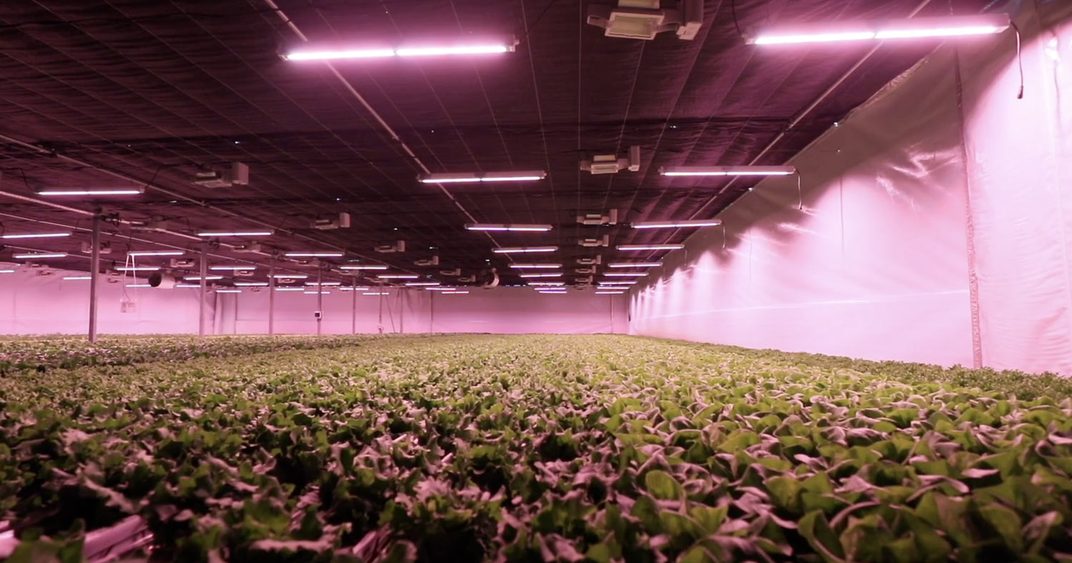 Horticultural Facility (2022 - 2023)